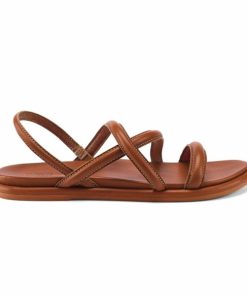 Happyrive.shopbd2189bf52 1